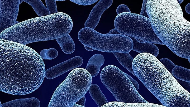 بسبب الأميبا.. وفاة شخص بعد شربه من الصنبور