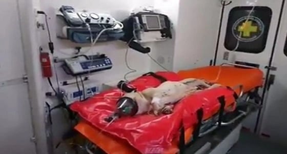 بالفيديو.. رجل يتجرد من الرحمة ويلقي بكلب من النافذة