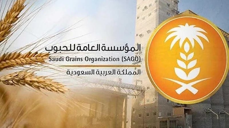 إيداع مستحقات الدفعة الثالثة لمزارعي القمح المحلي لهذا الموسم