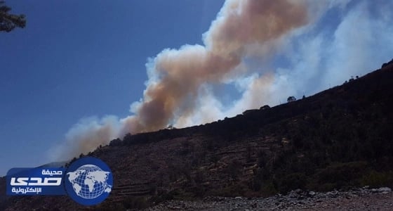 بالفيديو.. حريق هائل في جبال شعف آل ويمن بعسير
