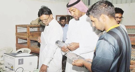 " أنفلونزا الطيور" تمنع مسابقات الحمام الزاجل