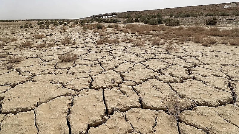 المسند: بقي على الحميمين 60 يومًا وإجازة الشتاء 35 يومًا