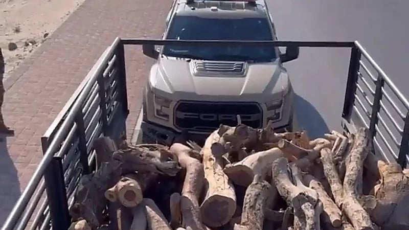 ضبط مواطن لـ تخزين أكثر من 19 مترًا مكعبًا من الحطب بالمدينة المنورة