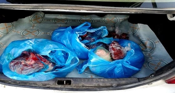 بالصور.. ضبط مركبة مخالفة بداخلها 10 كيلو من اللحوم بطريق الطائف