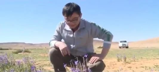 بالفيديو.. قصة عالم صيني يتردد أسبوعياً على "وادي تميرية" بالرياض منذ 20 عاماً