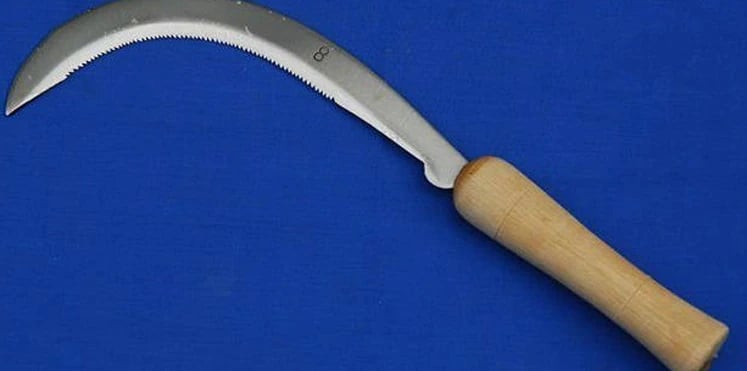 فتاة هندية تنتقم  من خطيبها ببتر عضوه التناسلي بمنجل