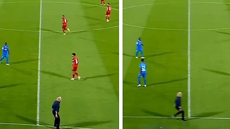 لحظة إنفعال جيسوس على البرازيلي ميشيل .. فيديو