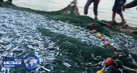 ⁠⁠⁠⁠⁠الزراعة تطور 16 مرفأ لصيد الأسماك