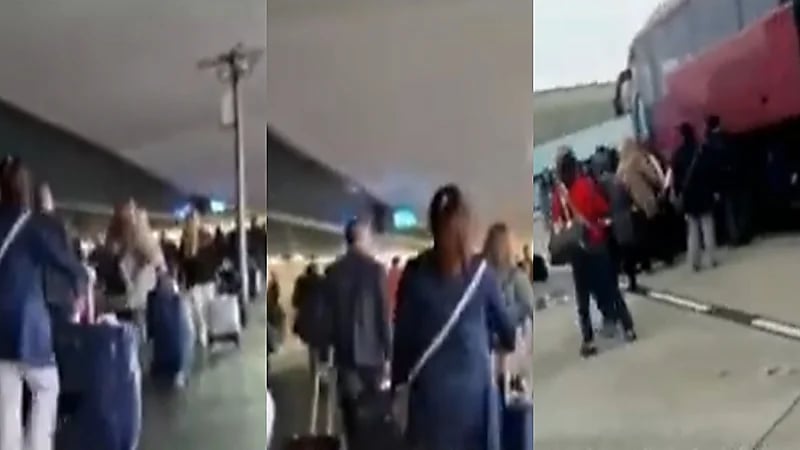 فيديو..لحظة هروب مرتزقة الملالي إلى النمسا