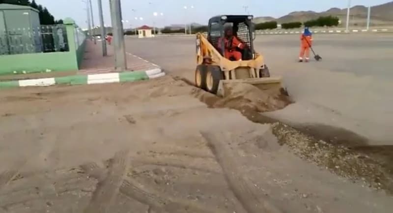 شاهد.. مواطنة تروي قصة نجاحها وخطتها لزراعة الموز الأزرق