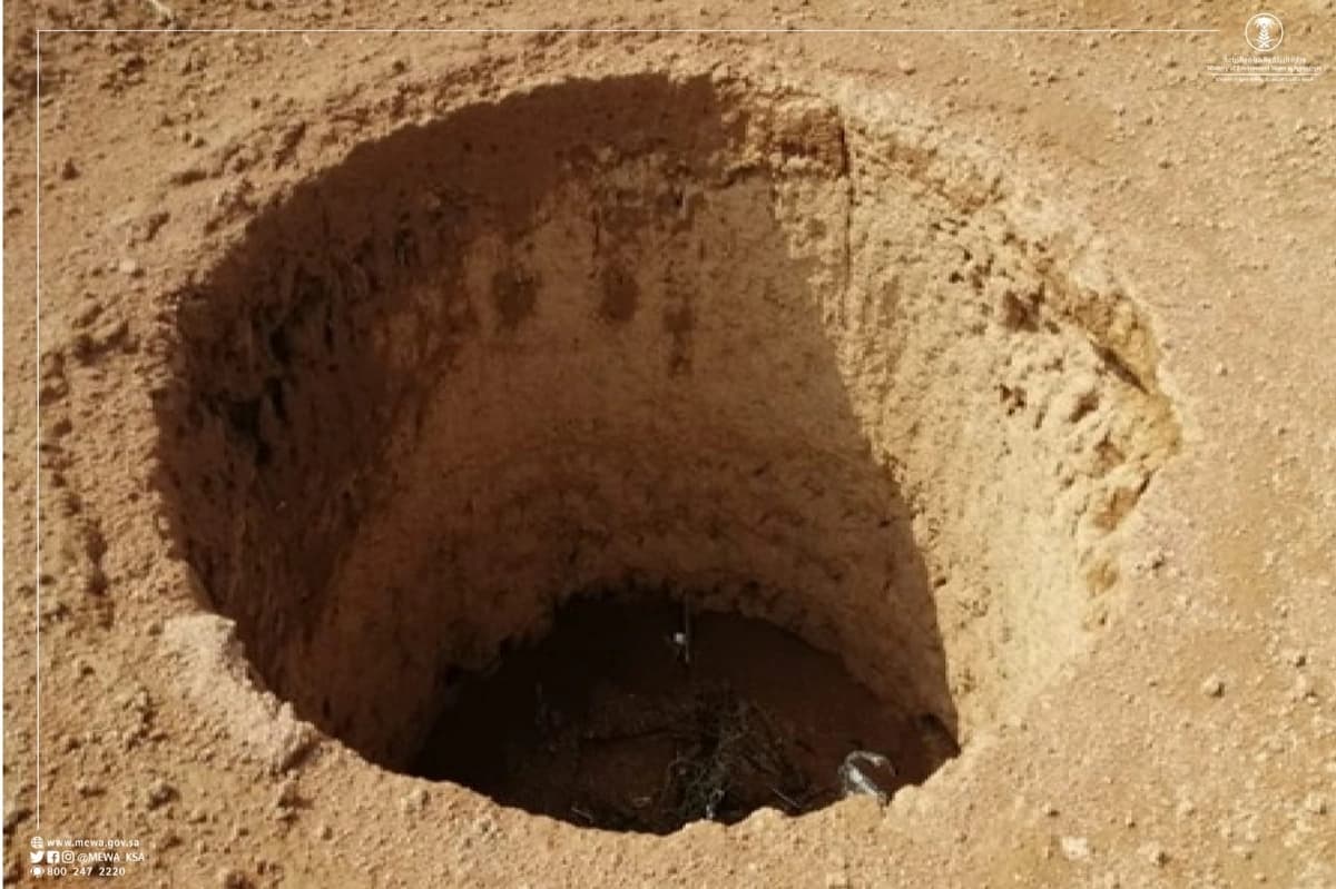 ليليا الأطرش تحدث ضجة بإعلان موعد زواجها بعد طول انتظار