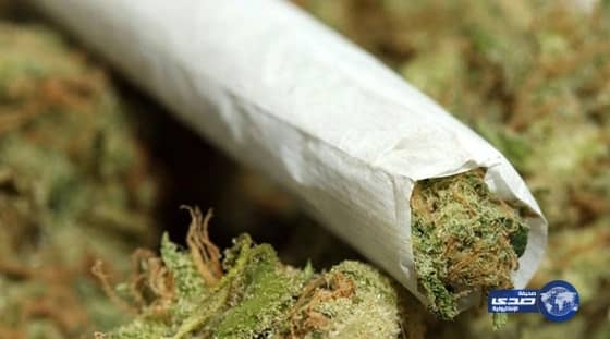 "معالج نفسي": تعاطي الحشيش يسبب أزمات نفسية .. وأغلب الأطفال من الطبقات الفقيرة