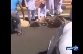 بدء تشغيل أعمدة الإنارة بالطاقة الشمسية تجريبيا بالأحساء