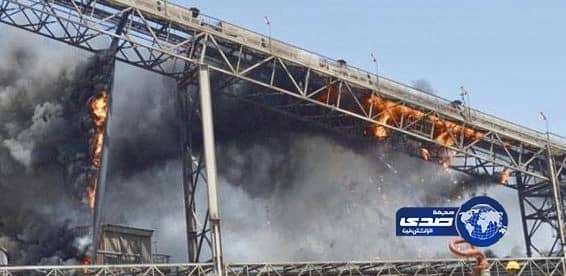 3 أنواع من البكتيريا في أمعاء الإنسان تحمي من السرطان