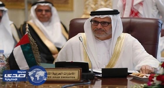 قرقاش يكشف مضمون مقابلة أمير قطر مع قناة أمريكية قبل إذاعتها