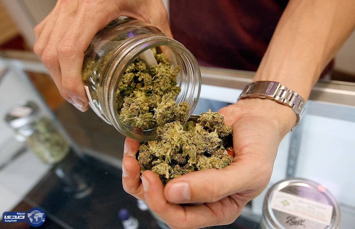 بغرض الترفية.. دولة تبيع الحشيش لمواطنيها بالصيدليات