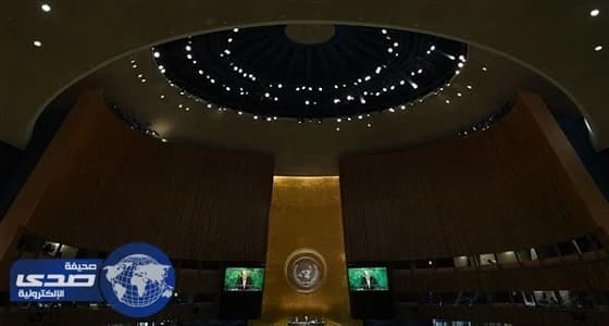 بالفيديو.. نحلة تهاجم مذيعة على الهواء وتصيبها بالفزع