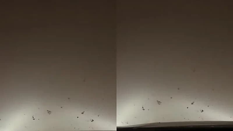 رياح هابطة تتسبب بانعدام الرؤية قرب أم سدرة باتجاه الرياض .. فيديو