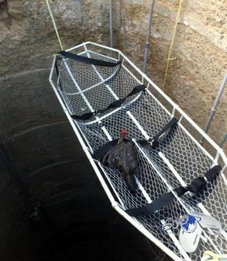 شاهد.. لحظة انقلاب سيارة متسابق في رالي داكار عدة مرات