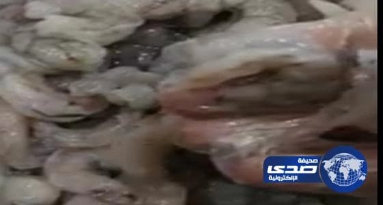 ضبط مخالفات بمطعم شهير المأكولات البحرية بالخفجي