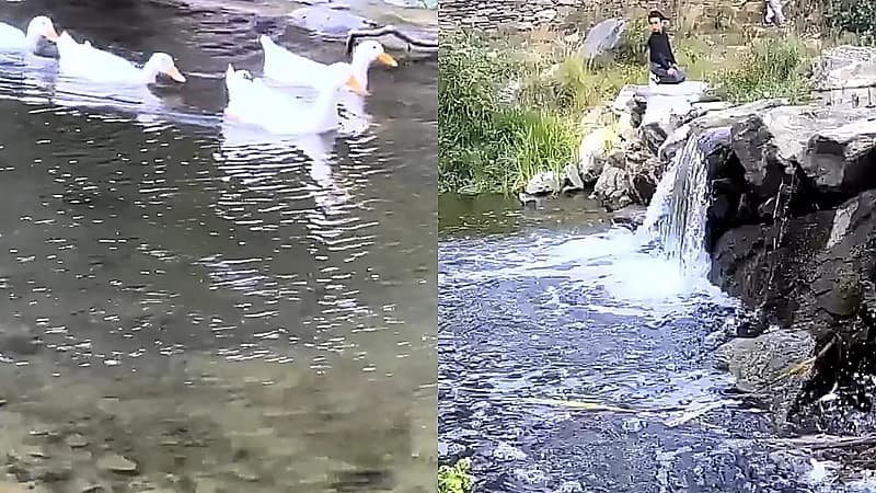 شلالات وأودية تنبض بالحياة بعد الأمطار في الباحة.. فيديو