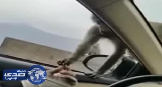 بالفيديو .. القبض علي لصين في متجر بالرياض