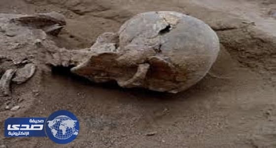 جمجمة طفل تكشف حقائق التطور البشري