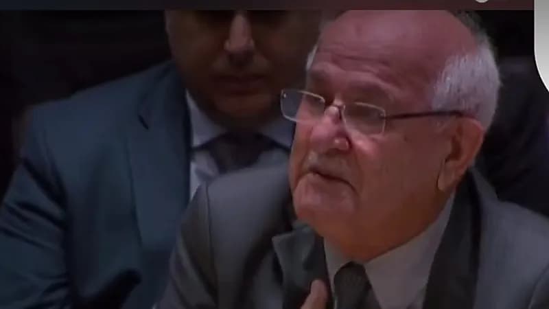سفير فلسطين ينهار باكياً بمجلس الأمن خلال حديثه عن أطفال غزة ..فيديو
