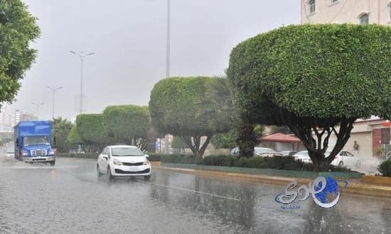 هطول أمطار غزيرة على محافظات عسير