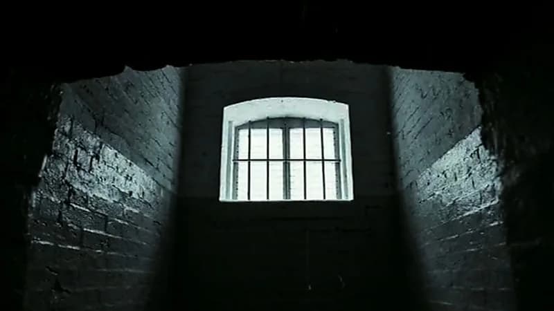 بالفيديو.. قصة سجين بالعصر الأموي صارع أسدًا لإطلاق سراحه