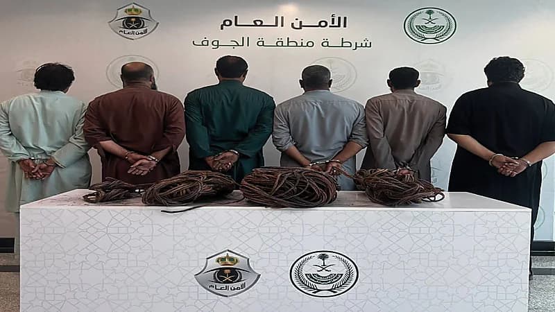 القبض على 6 أشخاص لسرقة كيابل نحاسية وسكراب في سكاكا .. فيديو