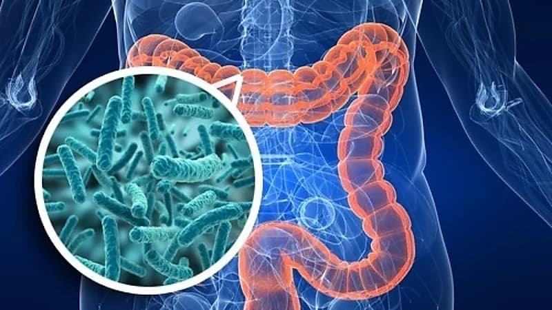 أطعمة تحقق فوائد هامة لميكروبيوم الأمعاء