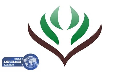 التنمية الاجتماعية بأبو عريش تنظم " التعامل مع نفسيات كبار السن "