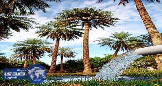 «عين الجوهرية» قبلة أهالي الأحساء لمواجهة حرارة الشمس