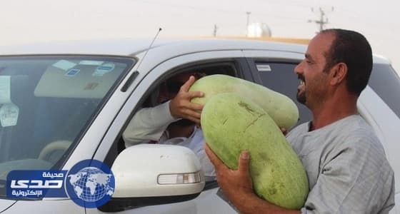 بالصور.. توزيع 3 آلاف بطيخة على المسافرين بوادي الدواسر