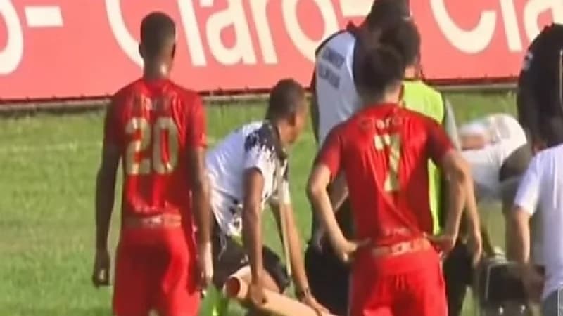 شاهد.. ثعبان يوقف مباراة كرة قدم بعد اقتحام للملعب