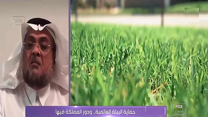 أسامة فقهيا: التحول إلى السيارات الكهربائية يؤثر سلبيًا على البيئة