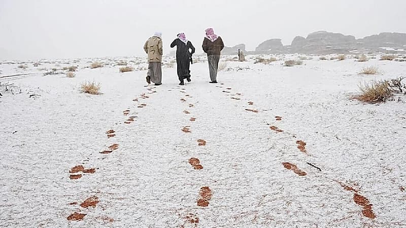 فيه يستمر الصقيع..الحصيني يكشف خصائص آخر نجم في المربعانية