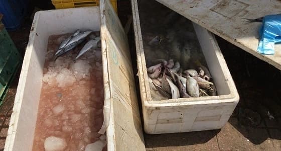 بالصور.. مصادرة 94 كيلو جرام مواد غذائية منتهية الصلاحية بجازان