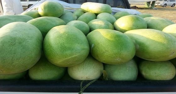 عن أمنيته في ليلة القدر.. بائع حبحب : " أنشد وظيفة بدخل ثابت "