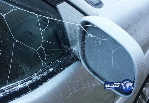 بالفيديو.. معركة عنيفة في برلمان جنوب إفريقيا بسبب زوما