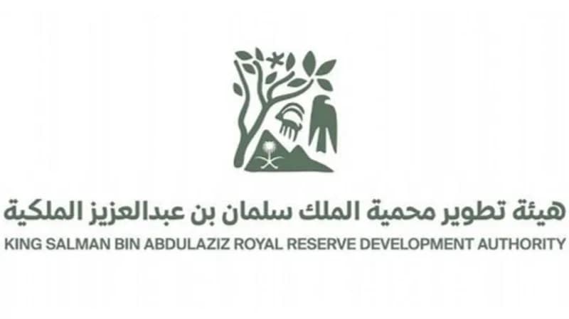 إمهال ملاك الحيوانات السائبة أسبوعين لإخراجها من منطقة الطبيق