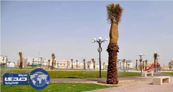 وقف التيار الكهربائي بحدائق الأحساء حتى انتهاء موسم الأمطار