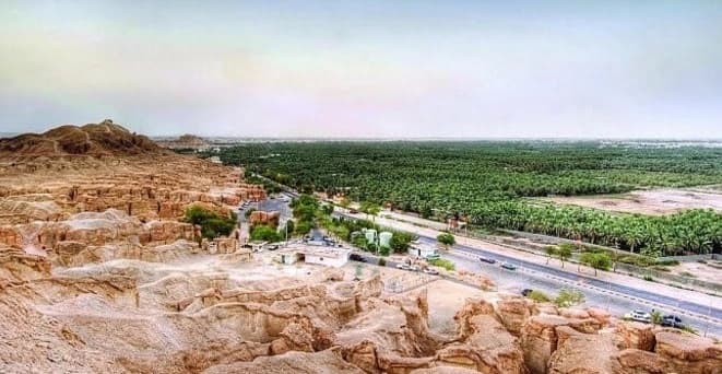 هيئة السياحة تسلم ملف " واحة الأحساء " لليونسكو نهاية الشهر الجاري