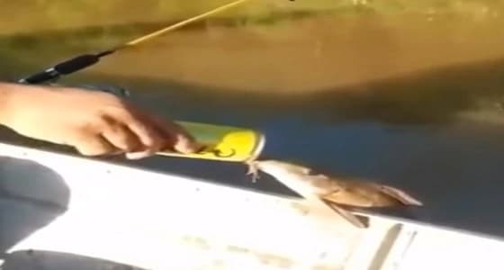 فيديو صادم لسمكة تحتسي " الخمر "