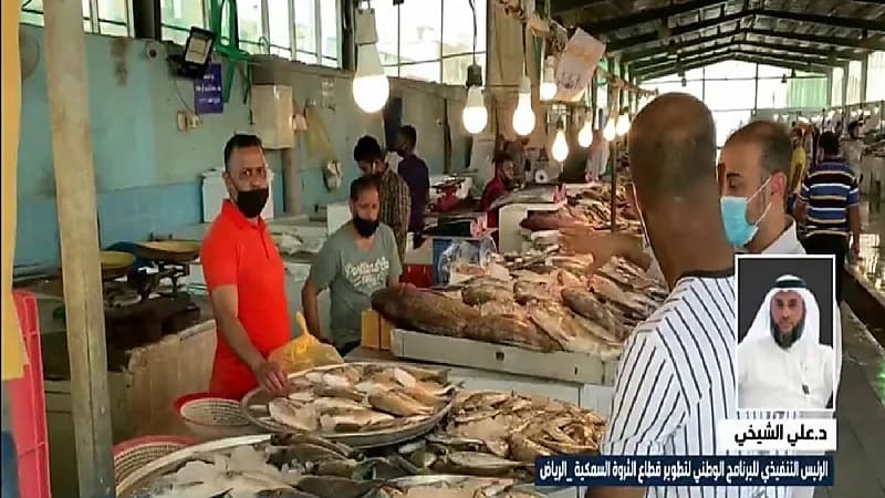 بالفيديو.. صادرات المملكة من الأسماك تتجاوز مليار ريال خلال العام