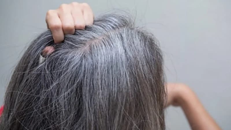 روتين غذائي يمنع ظهور الشيب