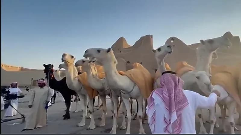 بالفيديو.. استعراض منقية قطامات في الدرعية ضمن احتفالات اليوم الوطني