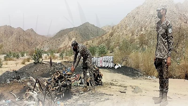 ضبط مخالف لنظام البيئة يقطع الأشجار لتحويلها إلى فحم في مكة