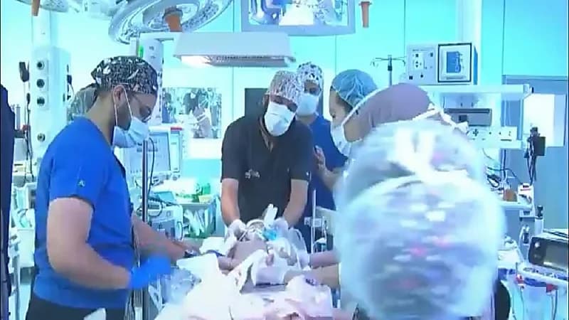 مختصة: بعض الأدوية تؤدي إلى تشوهات بالجنين وتؤثر على جهازه العصبي